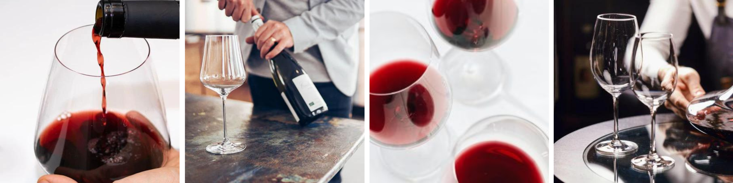 Man Holding Wine Bottle