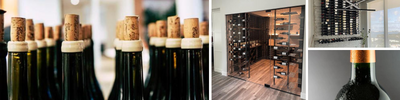 A Beginner’s Guide to Collecting Wine: Everything You Need to Know
