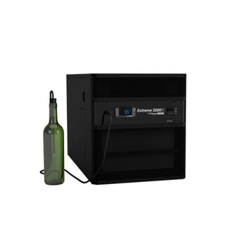Extreme 5000ti