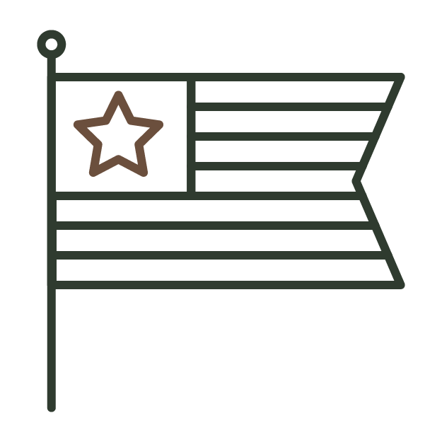 Illustration of a USA flag with a star on a white background